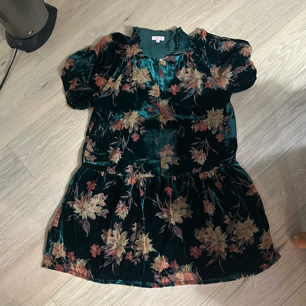 Pink lily velvet floral dress